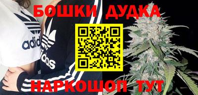 спайс Малгобек